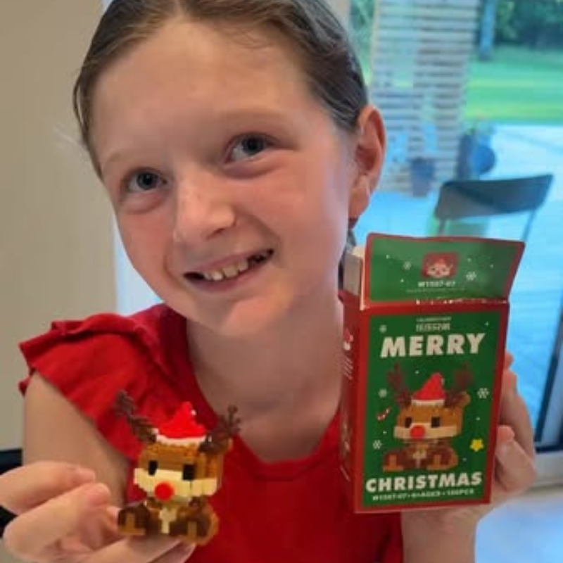 Bygg julens magi med Juleverkstan™ – 12 julfigurer + dolda byggblock (värde 339 kr)